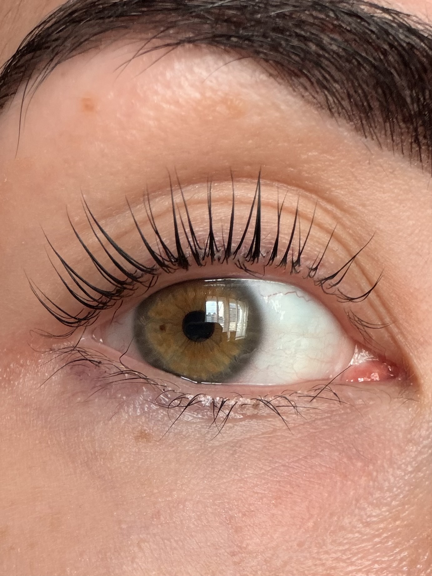 Close-up of lifted natural lashes
